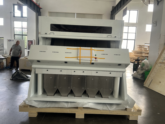 1.5 - 3 T/H Fındık Renk Sıralayıcı TOSHIBA Kamera Sensörü ve LED Işık