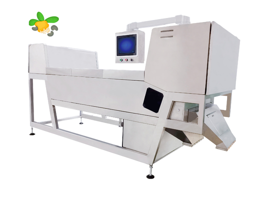 Kaju Butt Size Soring ile 600mm Genişlik Kemer Renk Sıralayıcısı