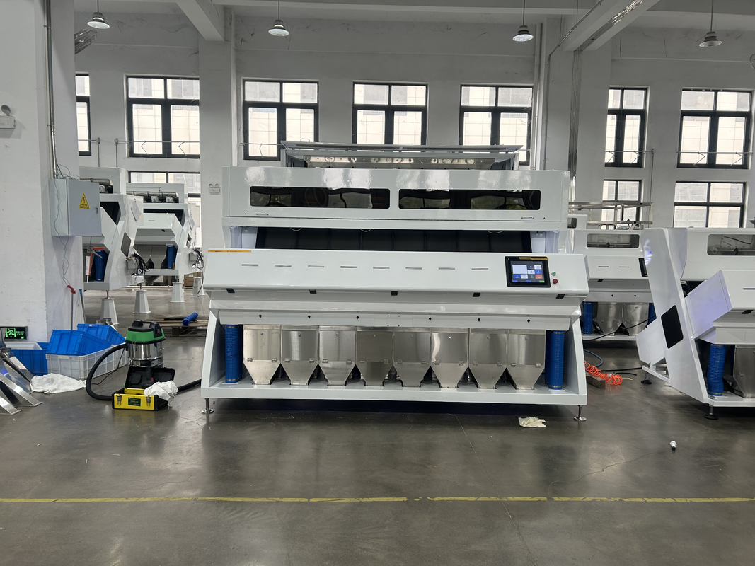 Ebat ve Şekil Ayırmalı Ceviz / Badem Renk Ayırma Makinesi