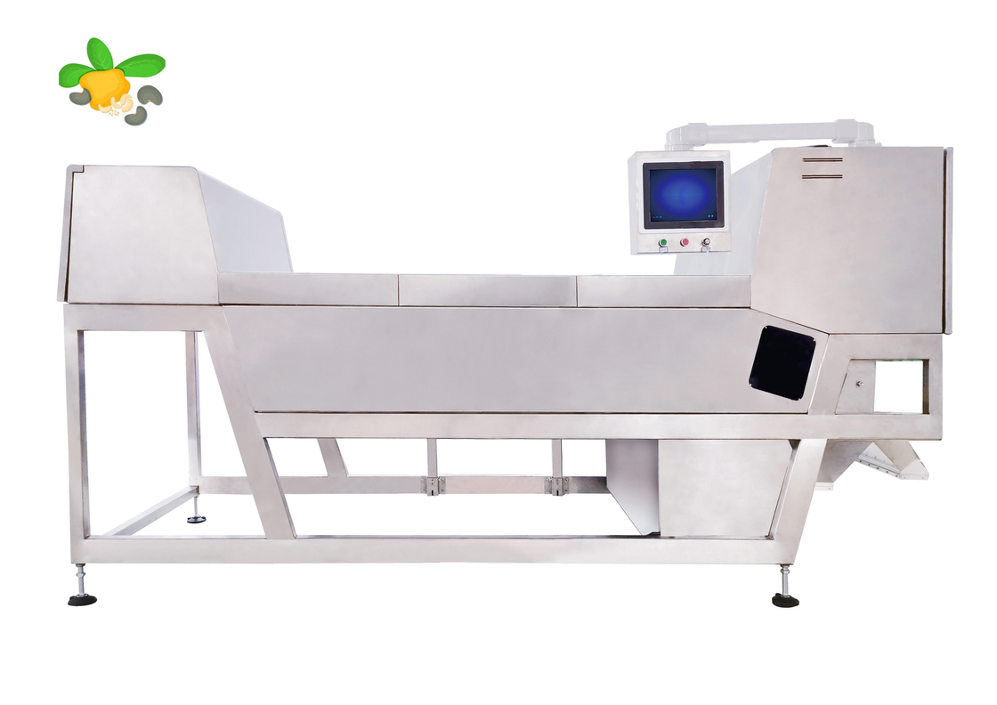 Kaju Butt Size Soring ile 600mm Genişlik Kemer Renk Sıralayıcısı